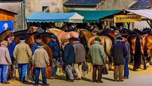 Equirodi Bretagne: guide complet équitation